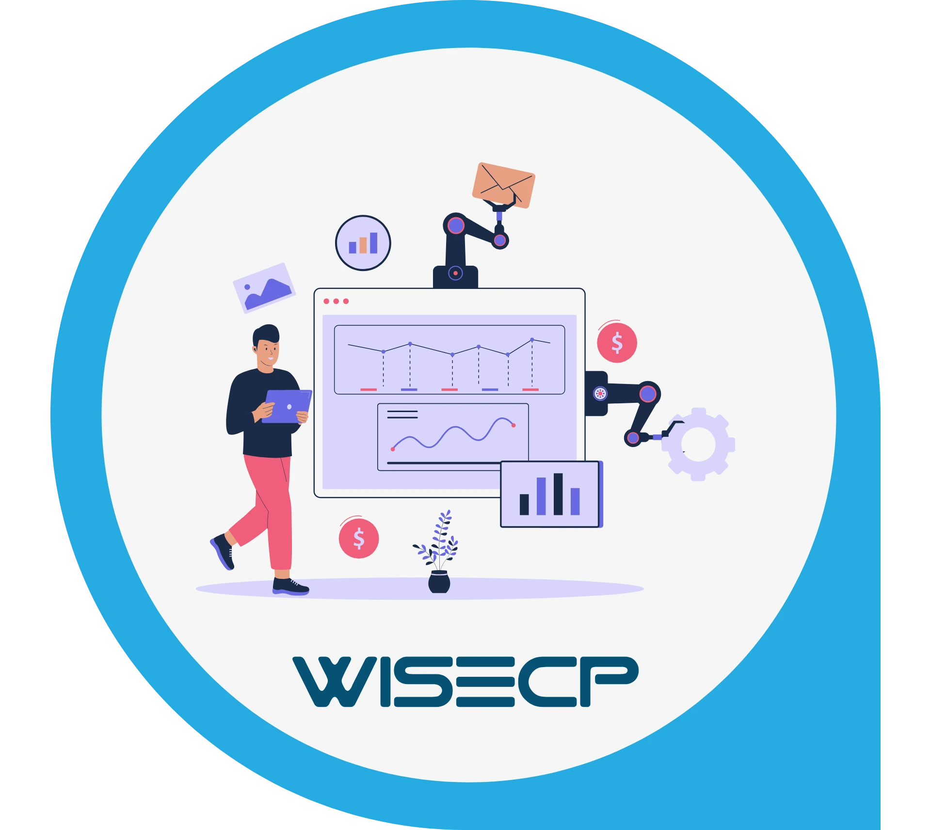 WiseCP Özel Tema ve Modül Geliştirme